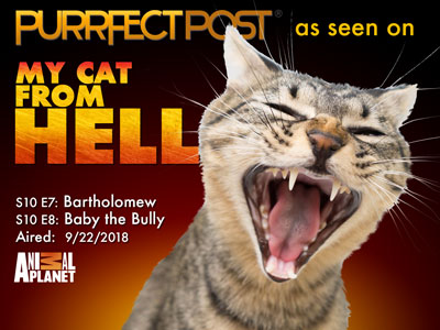 Look for the Purrfect Post on My Cat From Hell on Animal Planet 9/22/2018