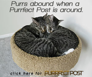 Purrs abound when Purrfect Post is around